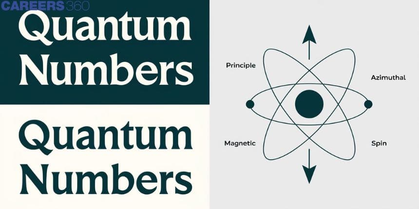 Quantum Numbers - Principal, Definition, Formula, Applications, FAQs